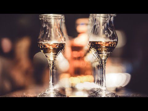 （限定公開）了解道中膝栗毛