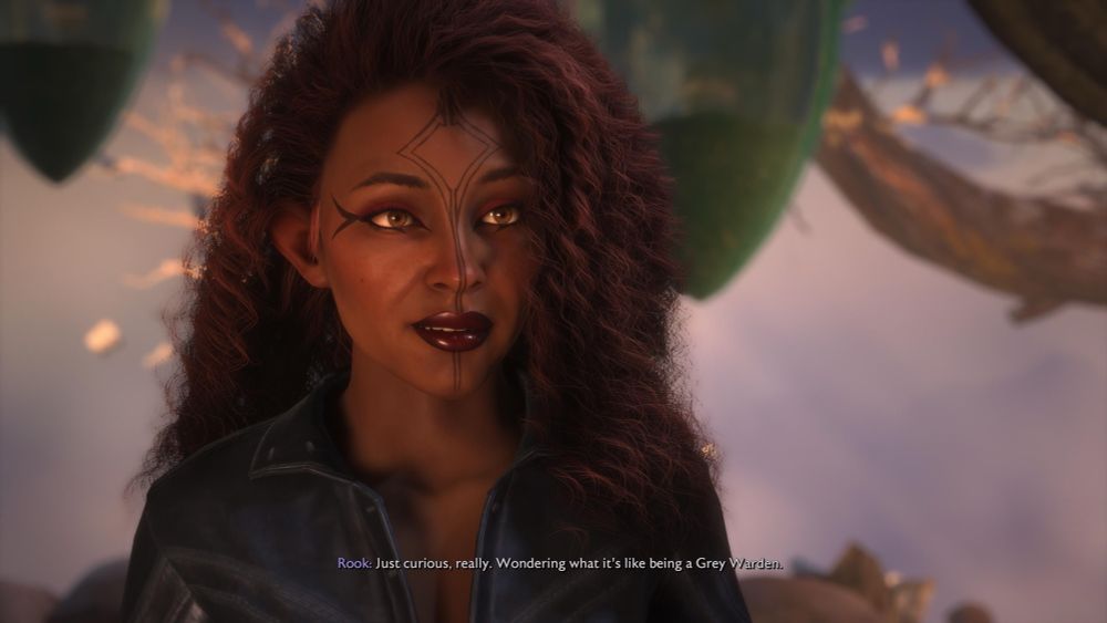 Close up of my Rook OC in dragon age the veil guard