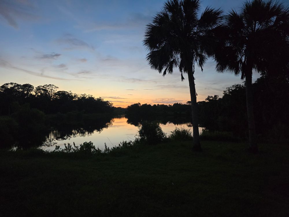 Low light photograpgh that includes a waning sun, blue skies and silhouettes of palm trees and bushes. A reflective pond is in the foreground. 