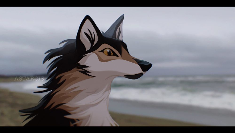 Art of a canis by astarcis. Sourced from e926.net