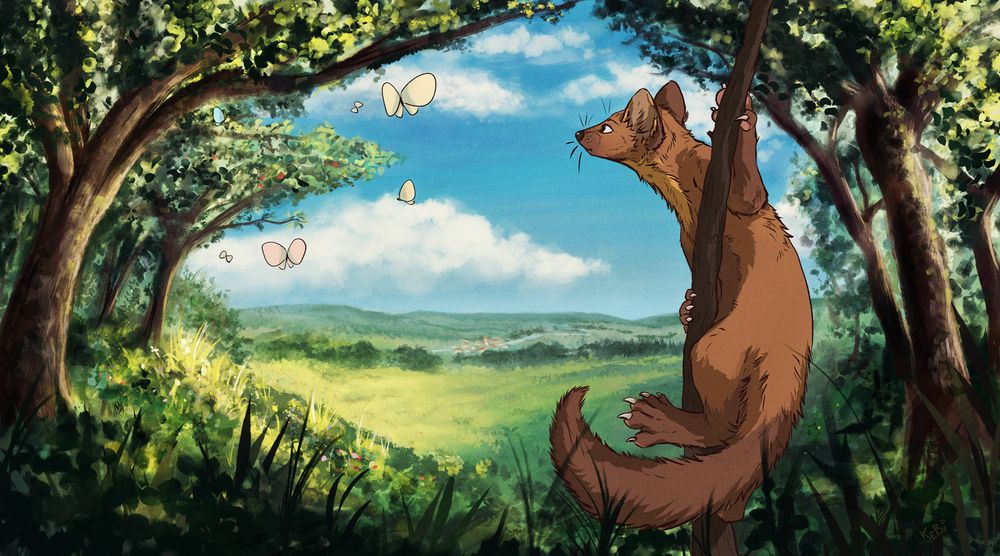 Art of a marten by kebi. Sourced from e926.net