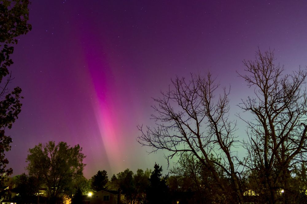May 10th
Deciduous trees line the bottom of the image interrupted by house lights. A large dead tree takes up the bottom right side of the image, obscuring a diffuse green haze. The sky is broadly purplish in color, and in a clearing left of the middle of the image a large, pink pillar of aurora accompanied by a white side on the left of it stands tall. Faint pillars stretch diagonally throughout the rest of the image.