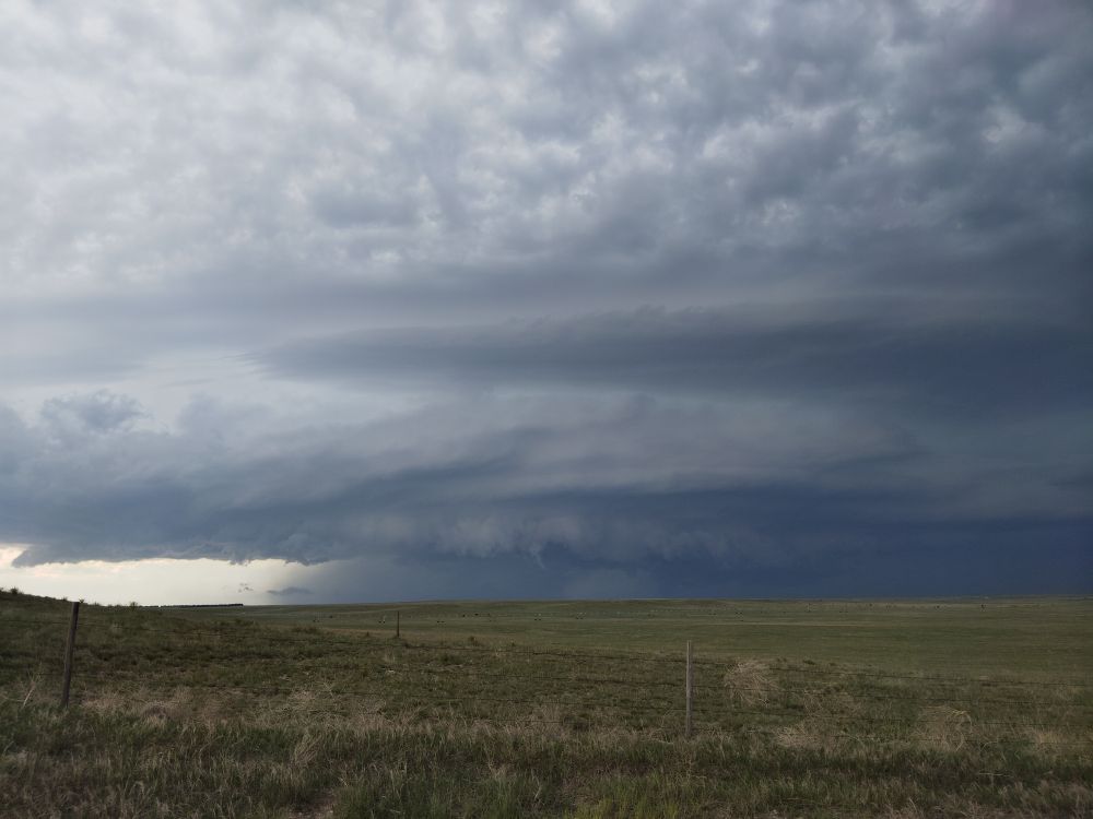 Large, wide sculpted supercell with green grassy foreground.
