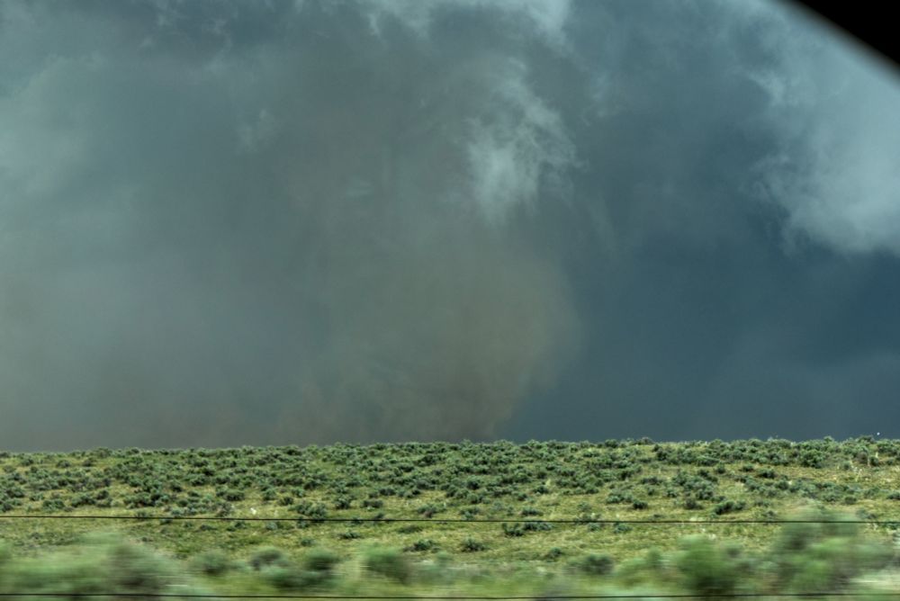 A foreground of green shrubbery lines the bottom, with ragged light clouds above, the two connected with a hazy, dusty tornado.