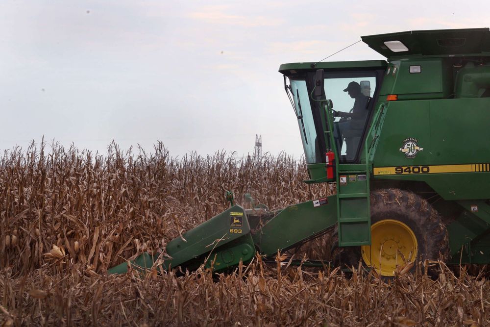 When Trump Ended a Program Feeding Californians in Need, Farmers Fought Back