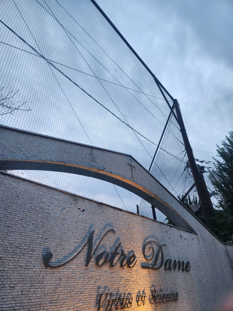 ノートルダムの壁と色が消えかけのbluesky 