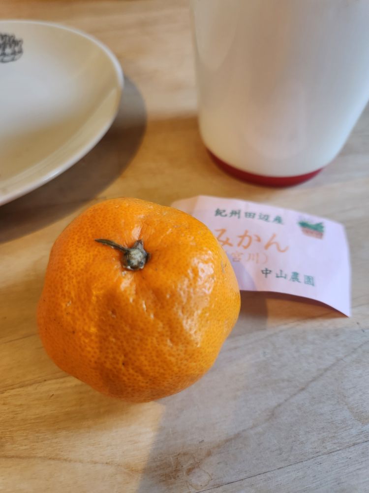朝の葉付きおみかん(宮川)　中山農園