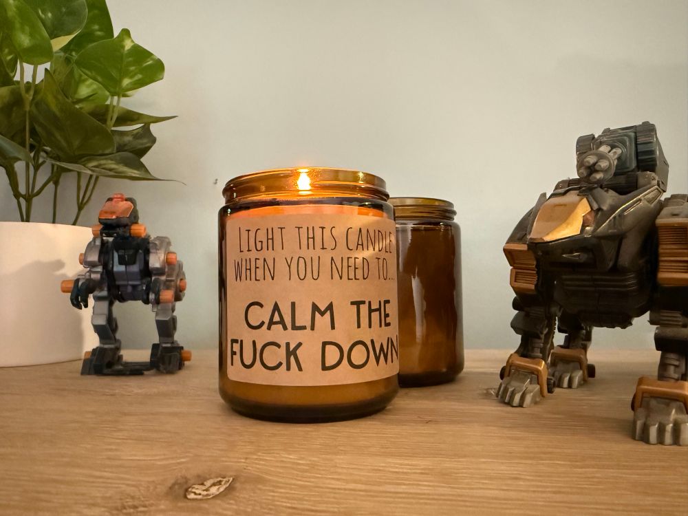 Replacement lavender candle arrived, surrounded by zoids