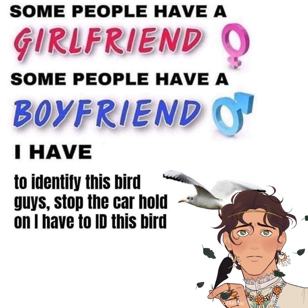 A meme that reads: "Some people have a girlfriend, some people have a boyfriend, I have to identify this bird guys, stop the car hold on I have to ID this bird" with a man with dark brown hair (Callum) 