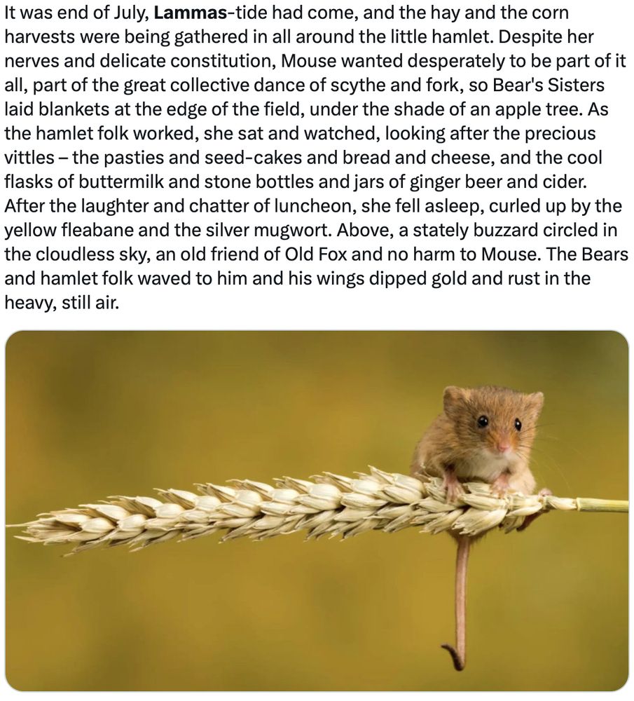 It was end of July, Lammas-tide had come, and the hay and the corn harvests were being gathered in all around the little hamlet. Despite her nerves and delicate constitution, Mouse wanted desperately to be part of it all, part of the great collective dance of scythe and fork, so Bear's Sisters laid blankets at the edge of the field, under the shade of an apple tree. As the hamlet folk worked, she sat and watched, looking after the precious vittles – the pasties and seed-cakes and bread and cheese, and the cool flasks of buttermilk and stone bottles and jars of ginger beer and cider.
After the laughter and chatter of luncheon, she fell asleep, curled up by the yellow fleabane and the silver mugwort. Above, a stately buzzard circled in the cloudless sky, an old friend of Old Fox and no harm to Mouse. The Bears and hamlet folk waved to him and his wings dipped gold and rust in the heavy, still air.