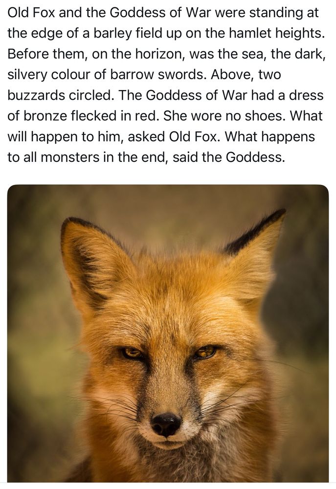 Old Fox and the Goddess of War were standing at the edge of a barley field up on the hamlet heights. Before them, on the horizon, was the sea, the dark, silvery colour of barrow swords. Above, two buzzards circled. The Goddess of War had a dress of bronze flecked in red. She wore no shoes. What will happen to him, asked Old Fox. What happens to all monsters in the end, said the Goddess.