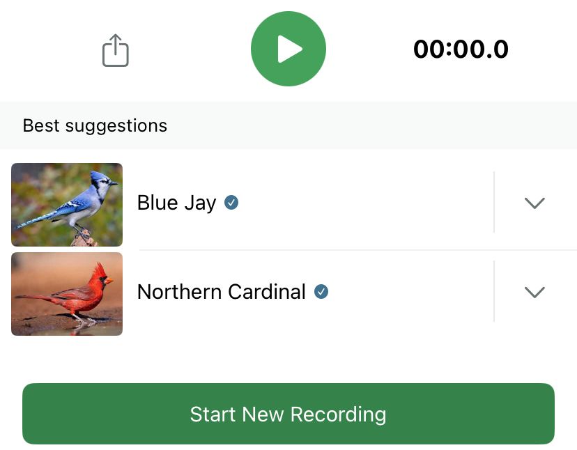 Screenshot from the Merlin bird identification app. A blue jay and a northern cardinal are identified on the screen, recalling the cover art of This is How You Lose the Time War by Amal El-Mohtar and Max Gladstone. 