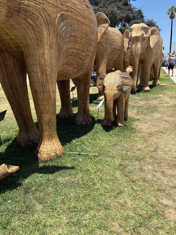 Life-size elephants made of a bamboo-like invasive weed called lantana camara. A baby elephant "walks" alongside the herd on the grass of the park where the installation is.
