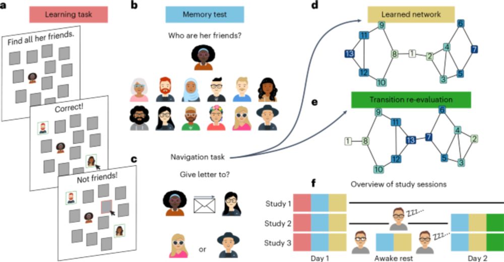 Replay shapes abstract cognitive maps for efficient social navigation - Nature Human Behaviour