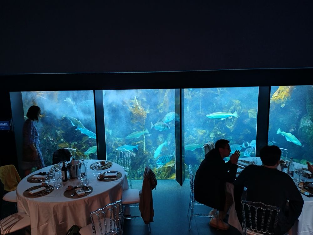 Gala dinner tables in front of a large aquarium with seaweeds and fish