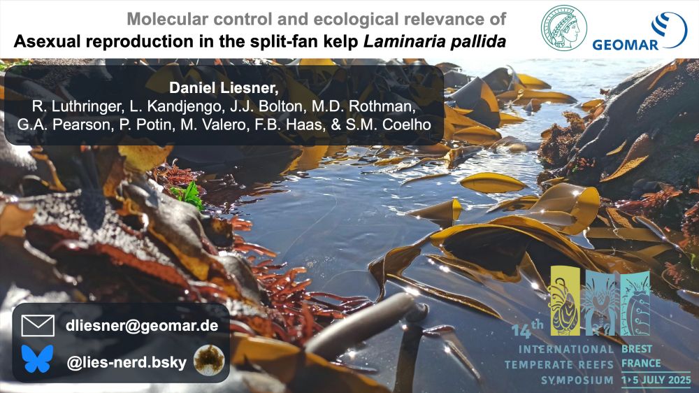 Title slide of my talk on Molecular control and ecological relevance of asexual reproduction in the split-fan kelp Laminaria pallida