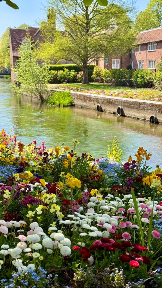 Many different flowers in front of a river.