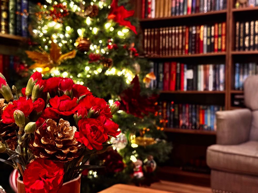 A bouquet of red carnations with a gold sprayed pinecone in it. Christmas tree and bookshelves in the background.