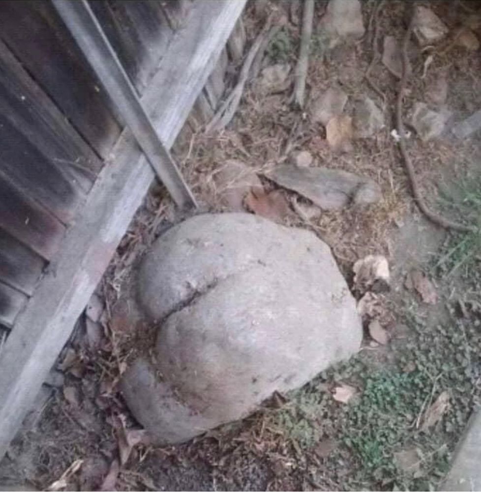 A piece of rock looking like a butt on the ground.