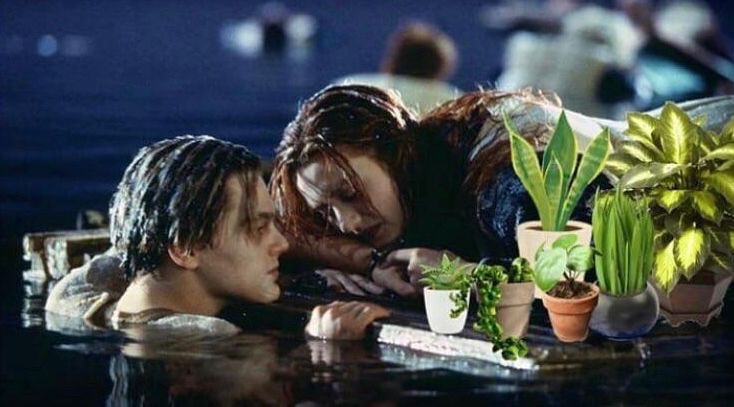 [Titanic] Rose on her plank with lots of green potted plants while Jack is freezing in the water.