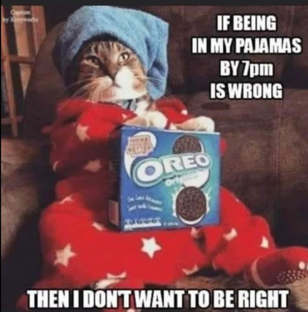 “If being in my pajamas by 7pm is wrong, then I don’t want to be right.”
A photo of a cat in a pyjama and a box of oreos between its paws