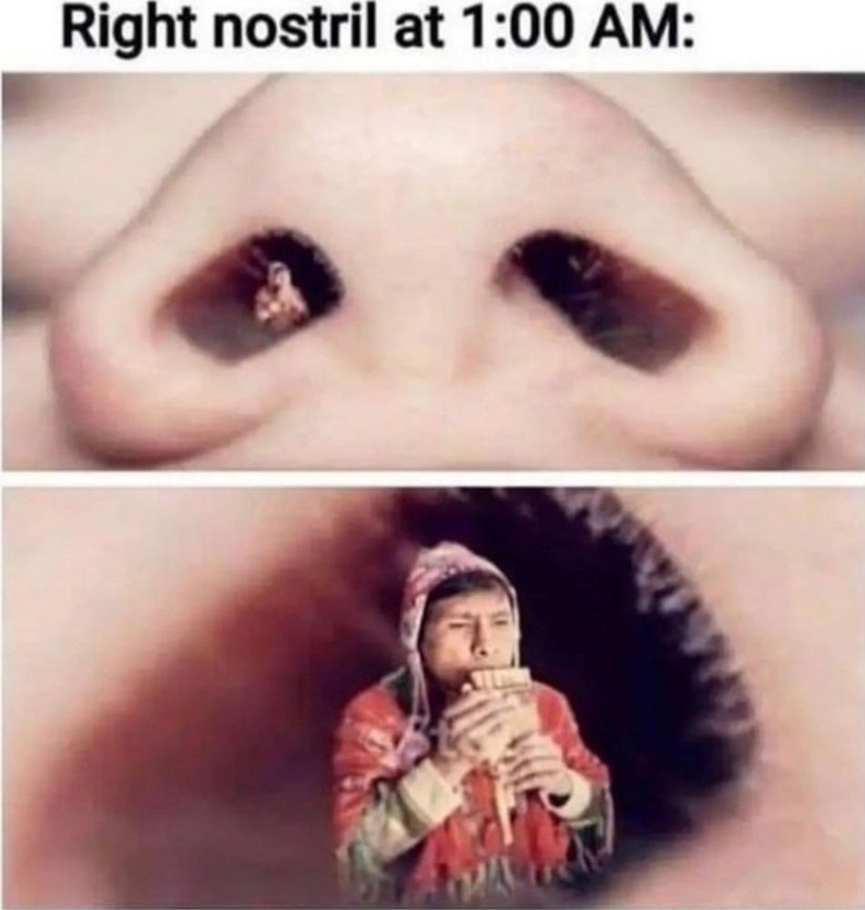 Right nostrils at 1am.
A picture of a nose.
The same nose zoomed on the right (yes, right for the person that own the nose). There is a Peruvian guy playing a pan flute inside.