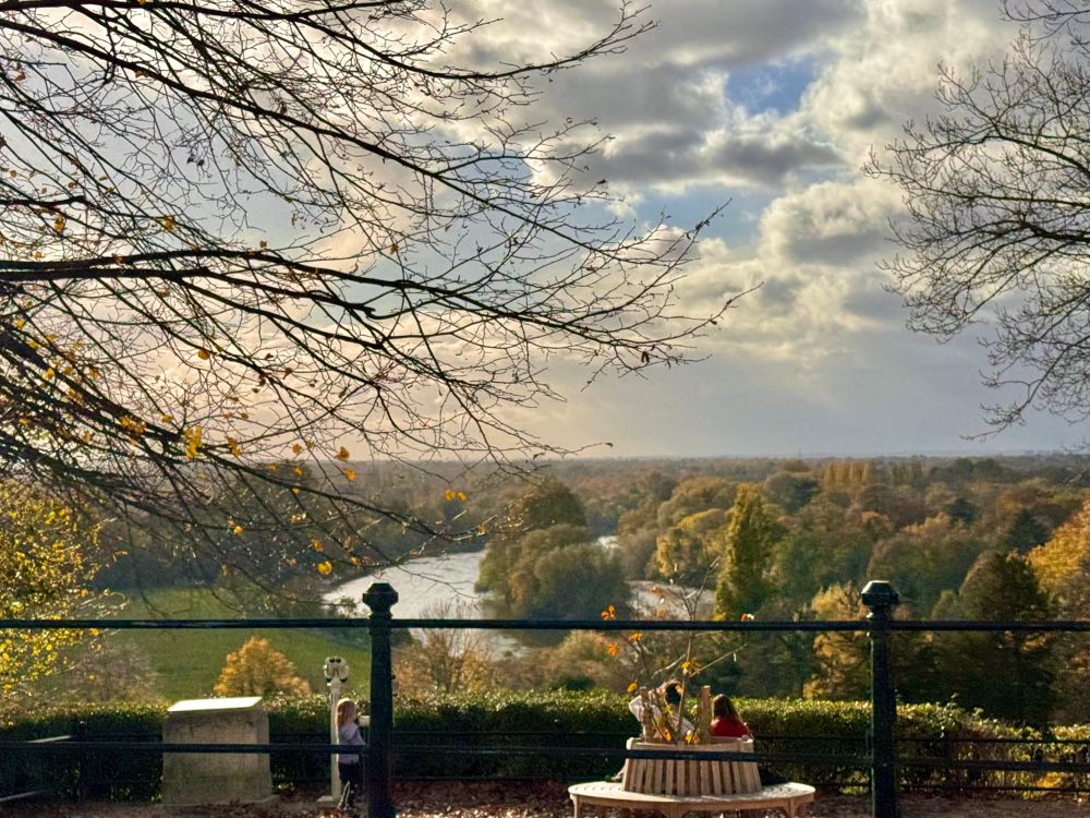 The Thames, surrounded by green trees and fields, viewed from the top of a hill.