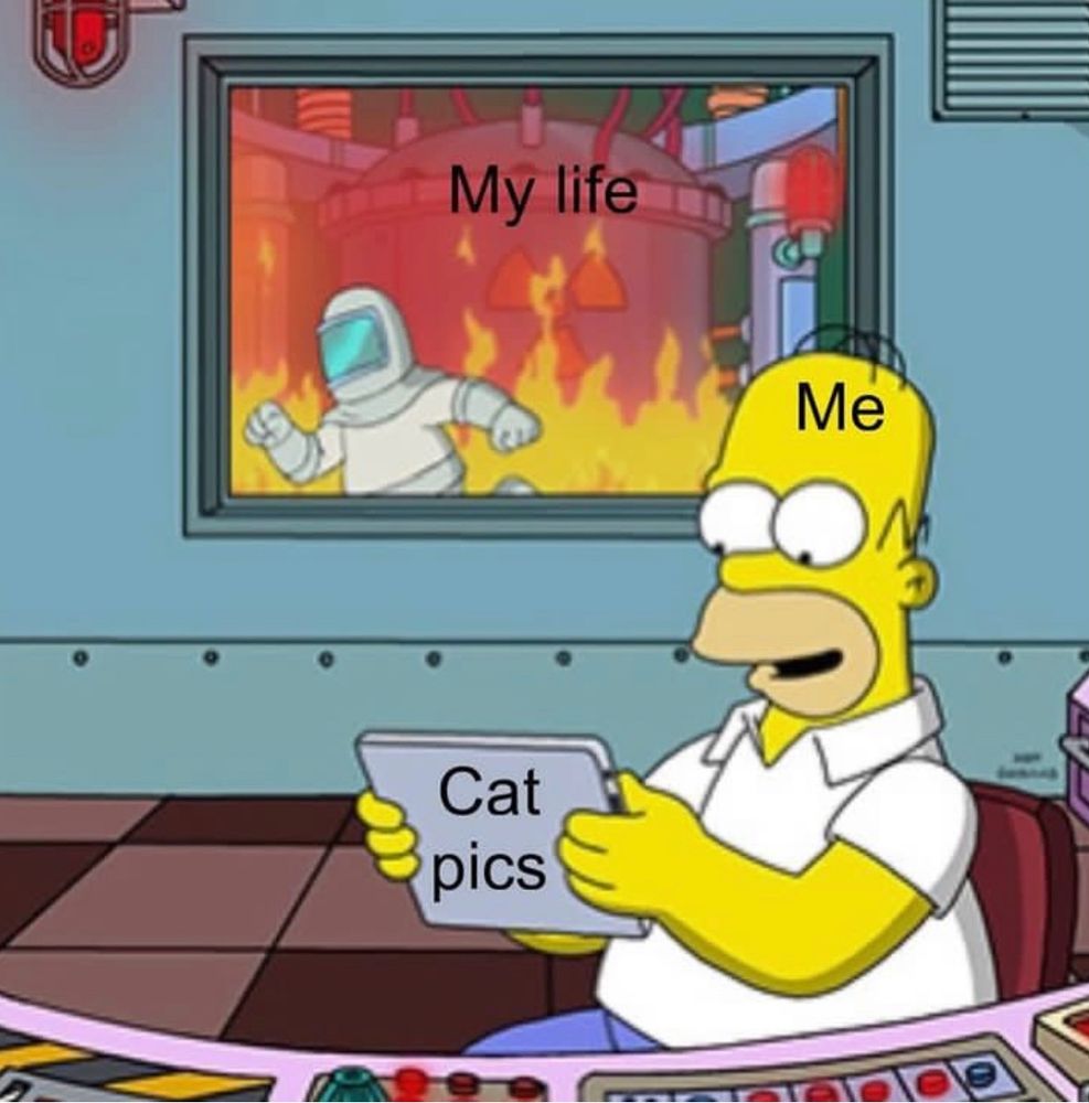 A radioactive room in fire in the background. Text says “My life”
Homer in the foreground smiling while looking at cat pics. Text says “Me”