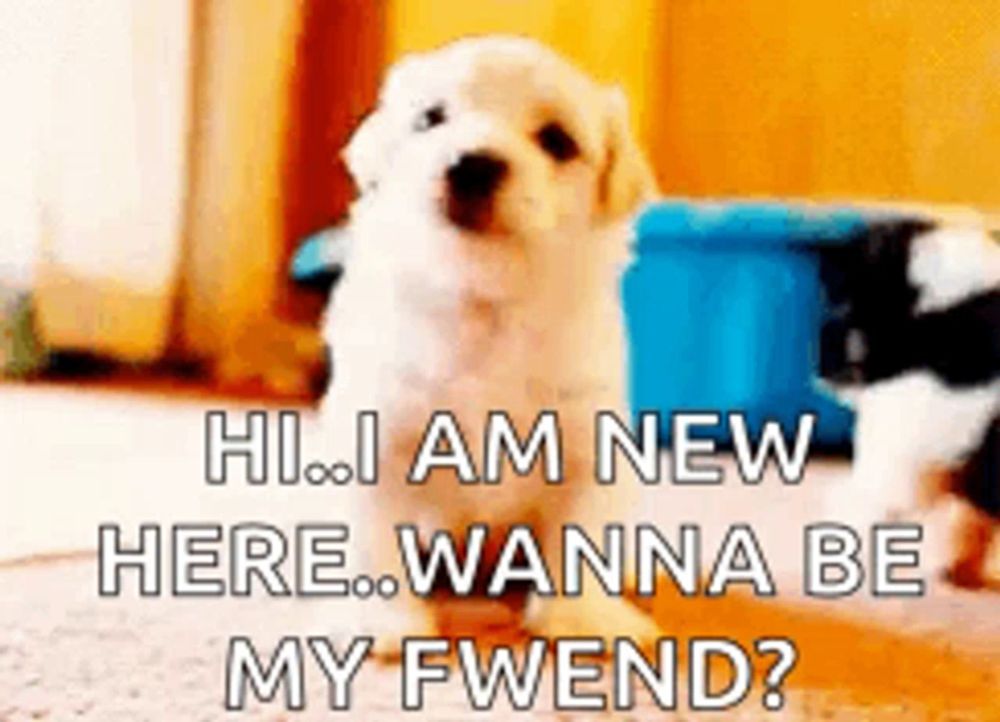 a puppy is sitting on the floor with the words `` hi , i am new here , wanna be my fwend ? ''