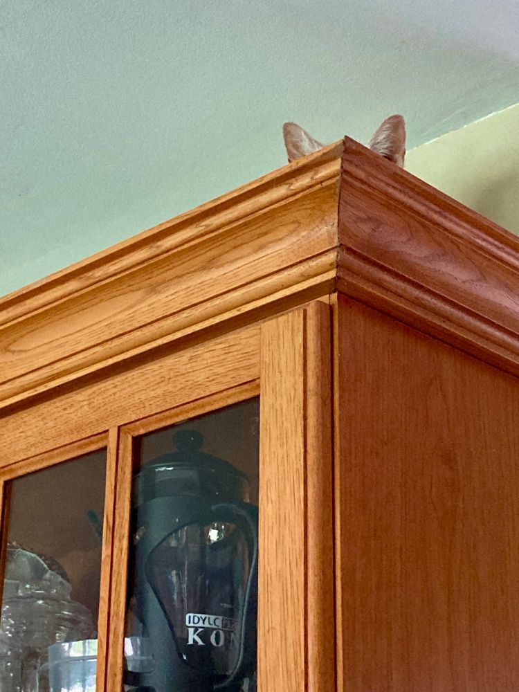 Two cat ears peeking up over the corner of a china cabinet.