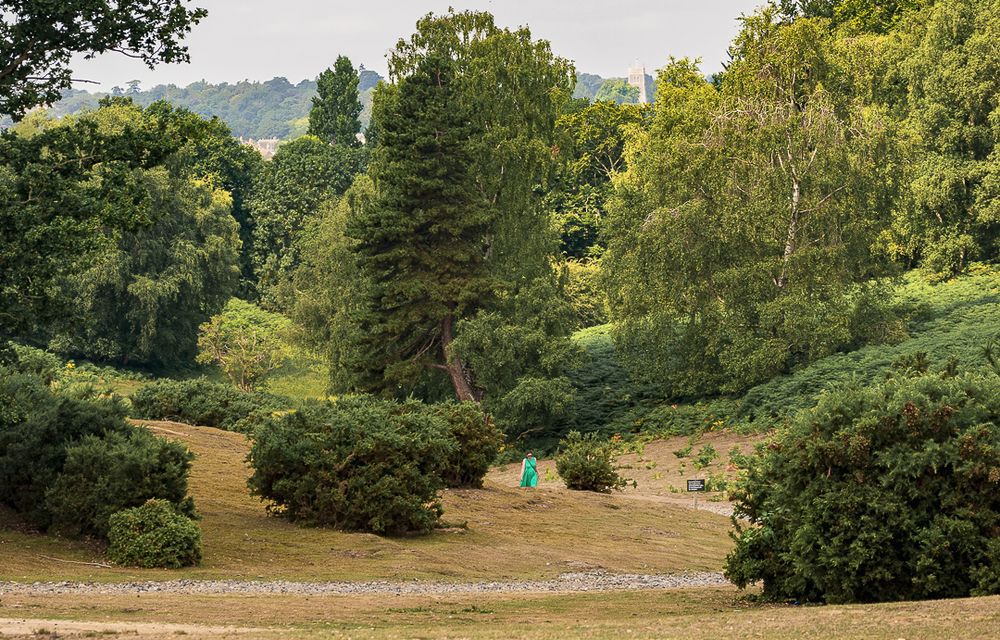This image shows a picturesque park or garden landscape with gently rolling hills covered in golden-brown grass. The scene features a diverse collection of mature trees, including broad-leafed deciduous trees and distinctive dark green conifers that provide varied texture and form throughout the composition. In the center of the image, a small figure in a bright teal or turquoise dress stands on the grass, providing a pop of color and human scale to the natural setting. A bench and what appears to be an information sign can be seen nearby. The background reveals more wooded hills receding into the misty distance, suggesting this is located in a hilly region. The lighting and lush greenery indicate this was taken during summer or early autumn.