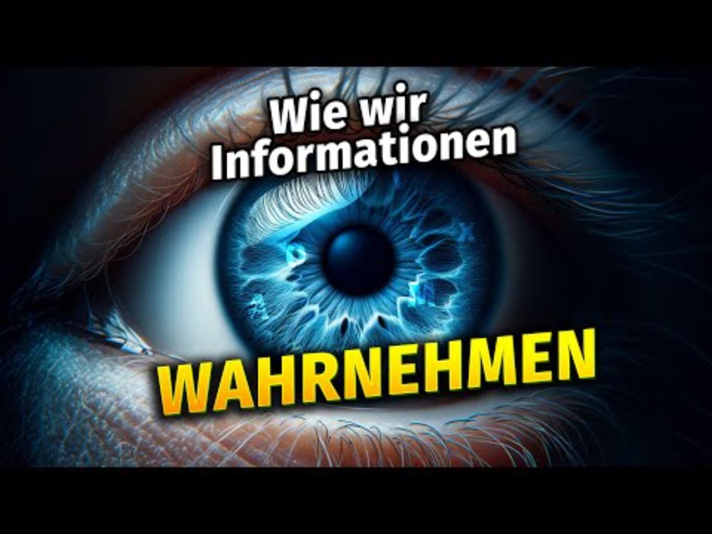 Information Design Teil 1 - Wie wir Informationen wahrnehmen