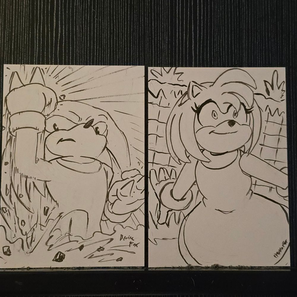 Inks of Knuckles and Amy