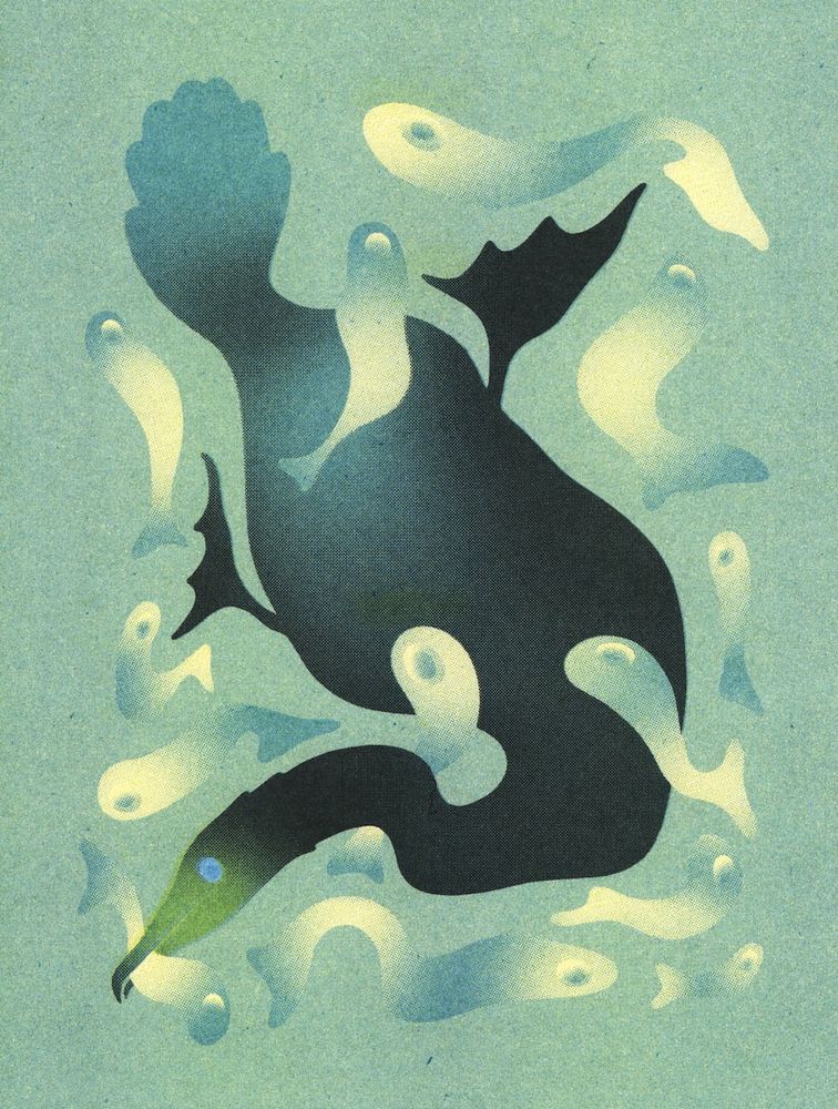 A risograph printed illustration of a cormorant diving underwater surrounded by small fish.