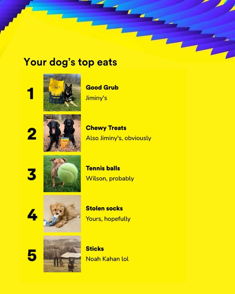 Your dogs top eats. Good Grub, Chewy treats, tennis balls, stolen socks, sticks