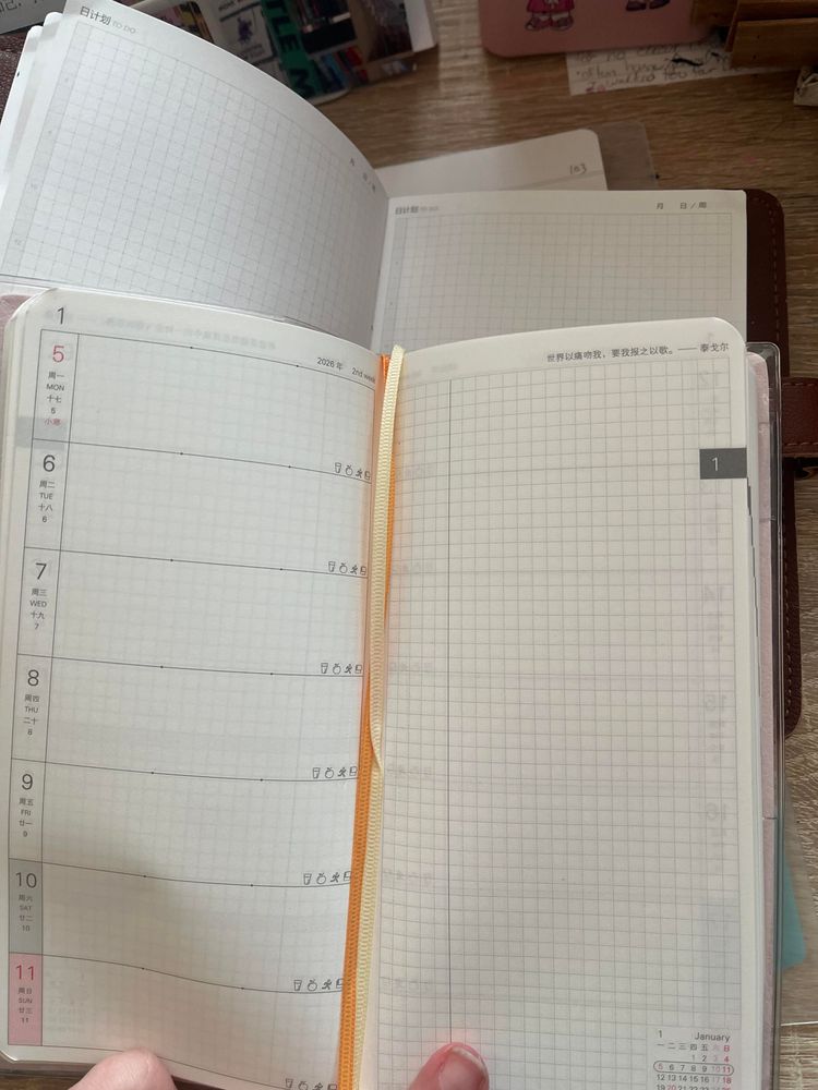 notebooks open to show the interior printing style (very similar to hobonichi) 