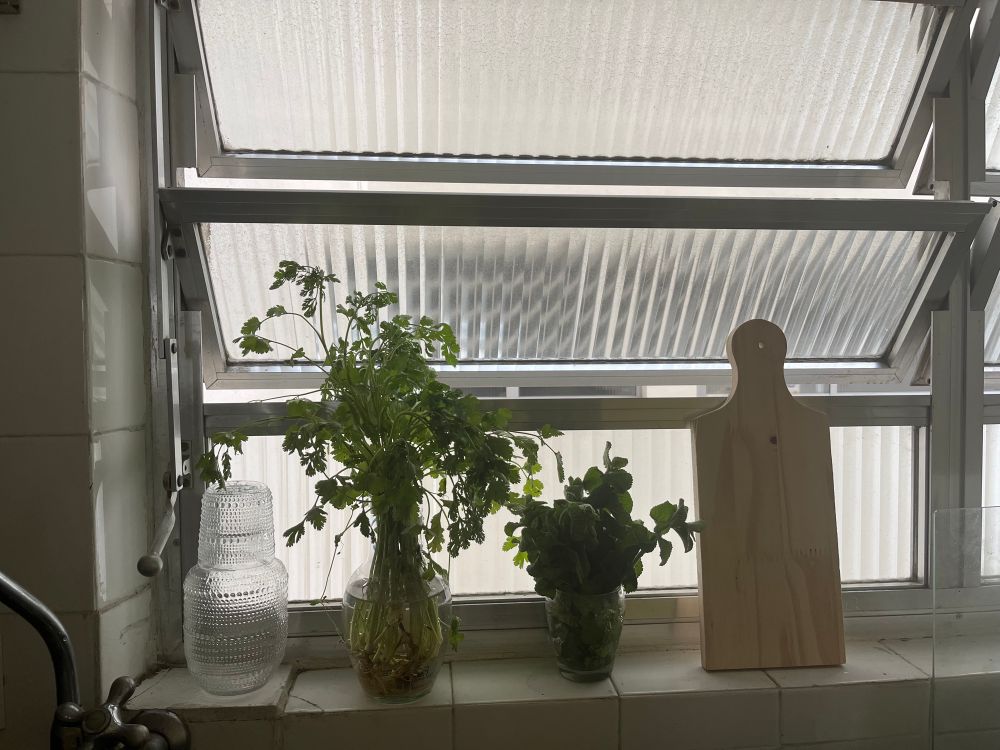 salsinha, hortelã, uma moringa e uma tabua de corte, tudo numa janela de vitrô