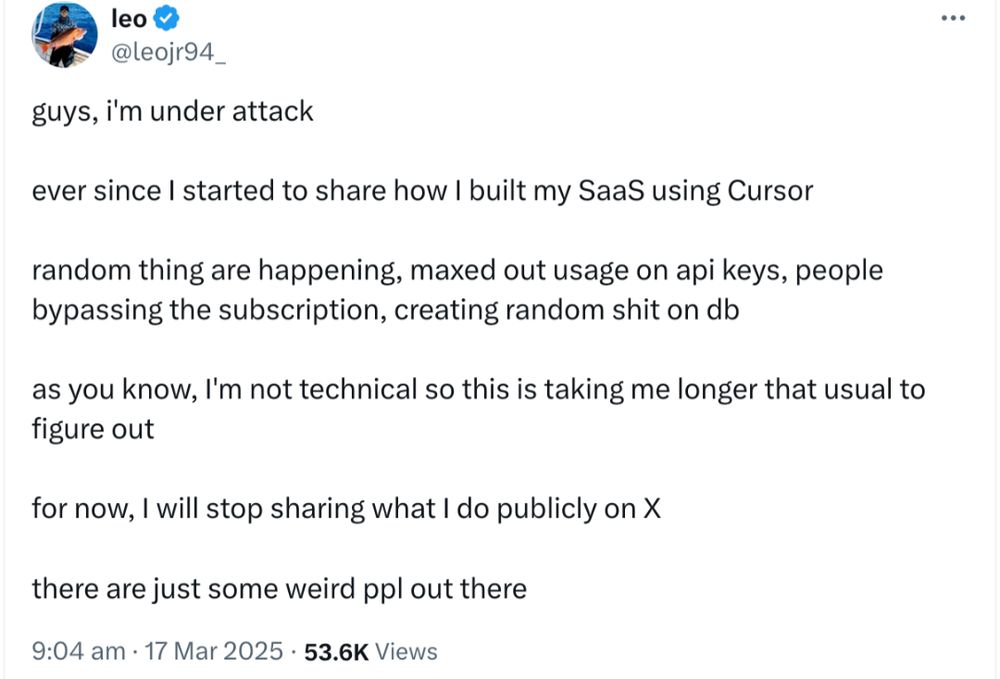 Follow-up tweet by X The Everything App Premium User "leo":

guys, I'm under attack.

ever since I started to share how I built by Software as a Service using Cursor random things have been happening, maxed out API keys, people bypassing the subscription, creating random shit on the database

as you know, I'm not technical so this is taking me longer than usual to figure out. for now I will stop sharing what I do publicly on X. there's just some weird people out there.