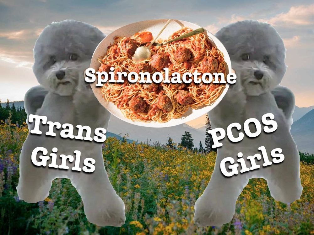 Photoshopped image of two mirrored peace sign dogs standing in an alpine flower field and holding a big plate of spaghetti. One dog is labeled "Trans Girls" and the other dog is labeled "PCOS Girls". The big plate of spaghetti is labeled "Spironolactone".