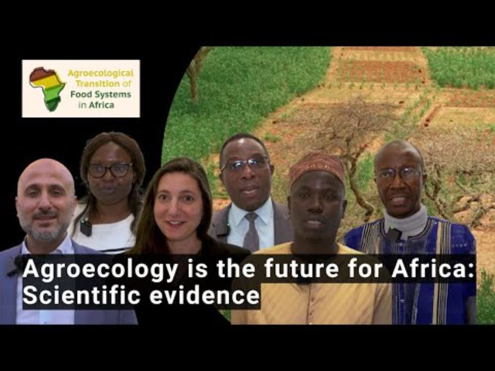 Agroecology is the future for Africa - A conference in Brussels presents scientific evidence