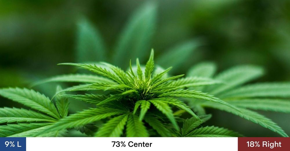“President Trump is considering reclassifying marijuana as a less dangerous drug, after pot companies have poured millions of dollars into Trump’s political groups,” the Wall Street Journal reports.