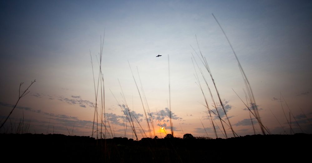 A lone crane flies over a prairie landscape.