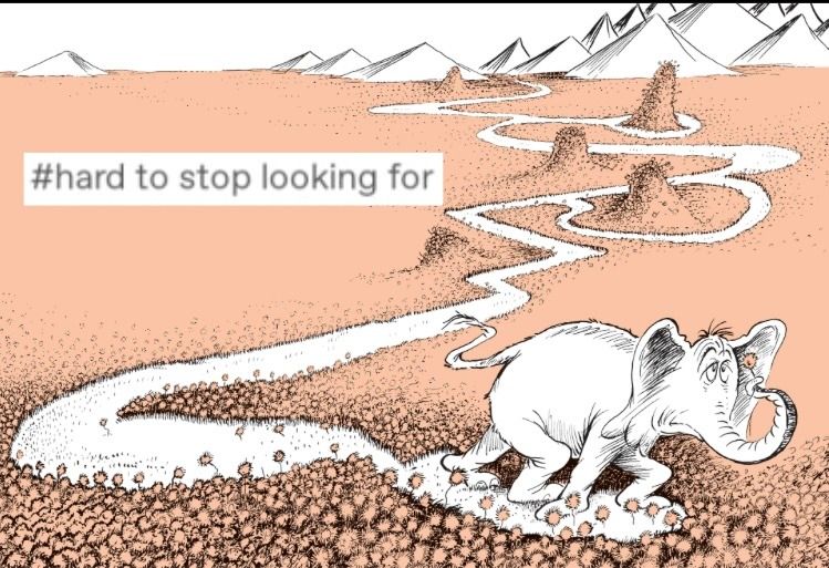 hard to stop looking for