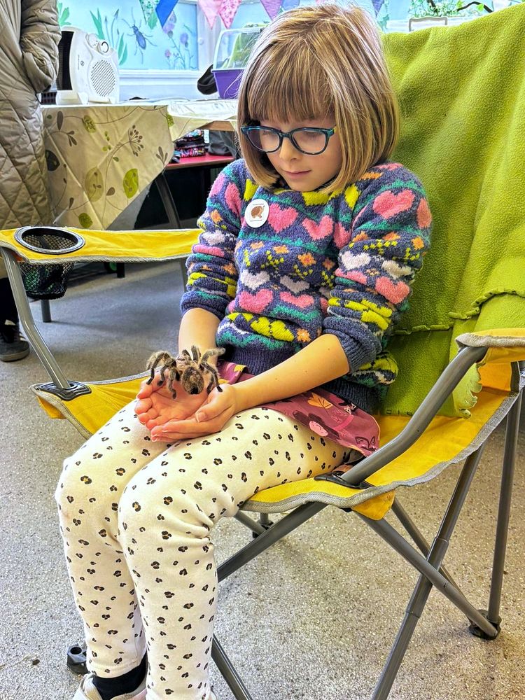 Little Miss 7 holding a Chilean rose tarantula 