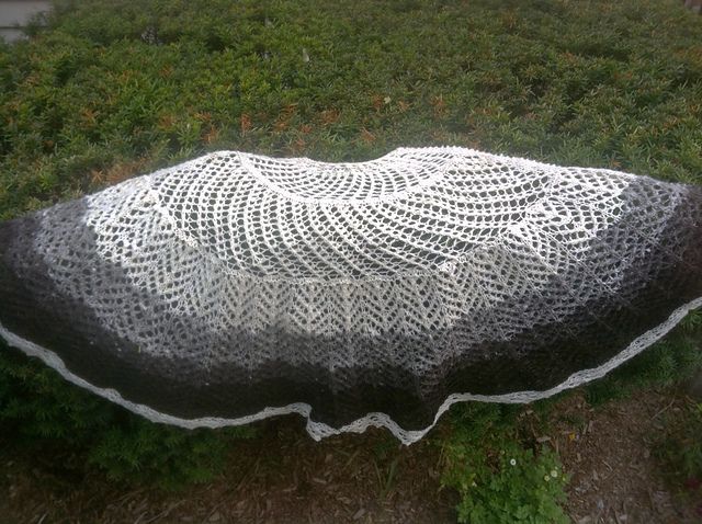 A Pi shawl with 4 different lace patterns, knit in handspun Jacob lamb wool with colors shading from white at the neck to black at the bottom with a white lace edging