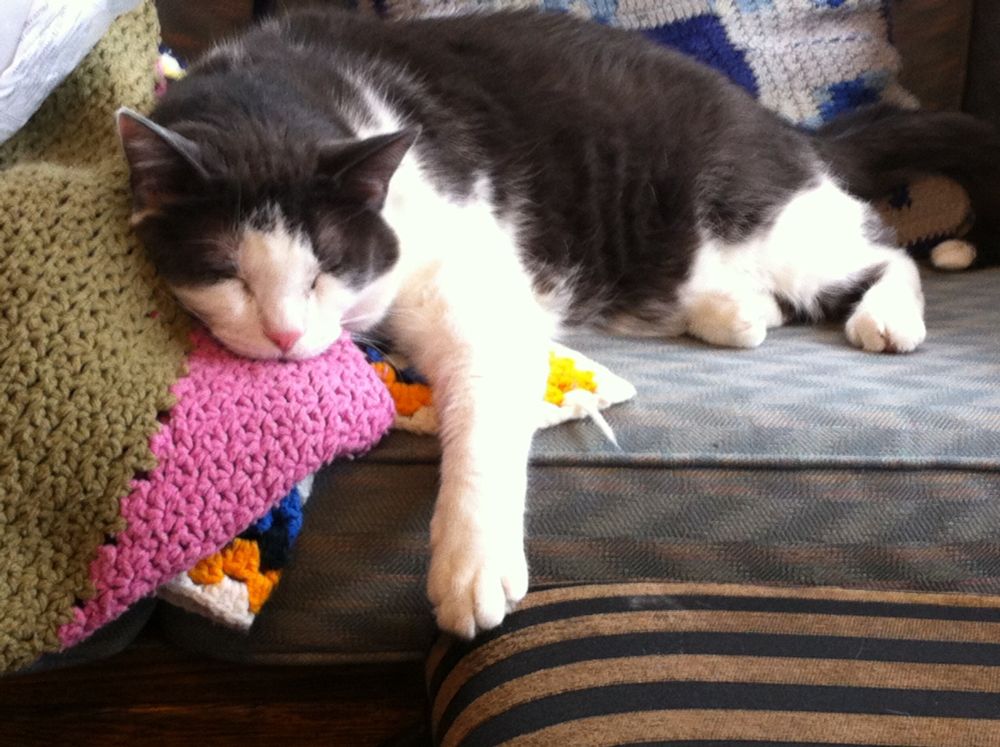 A gray and white cat flopped on a couch, sleeping with his head on a crocheted blanket.
