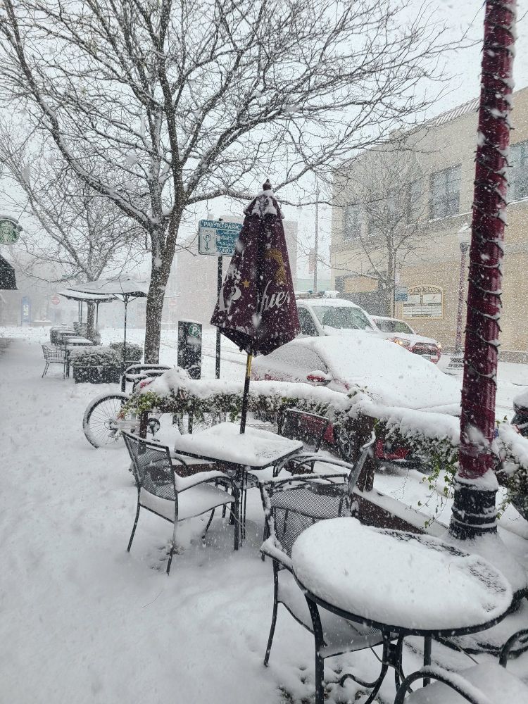 whiteout conditions in Andersonville