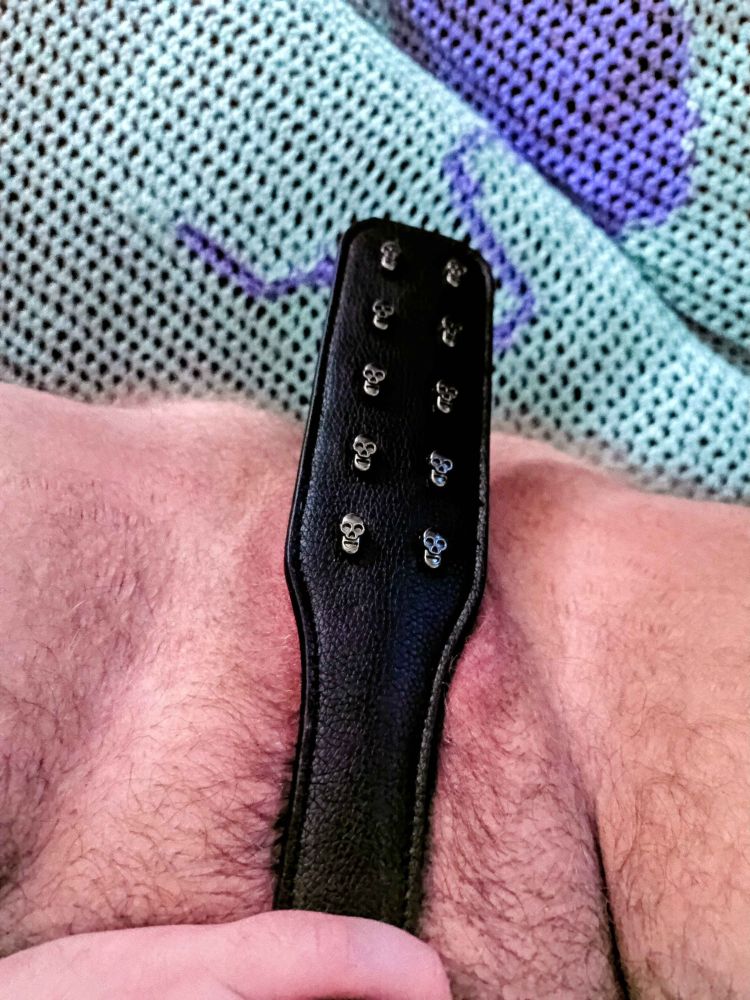 my t-dick covered entirely by a paddle studded with tiny metal skulls