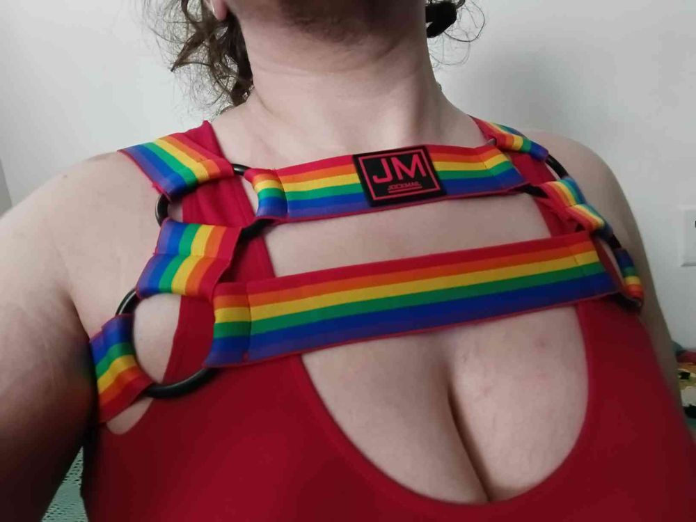 me in my new rainbow jockmail chest harness, wearing a bright red sports bra beneath it. my hairy chin and messy hair are visible. my tits are fat and my shoulders are bricky