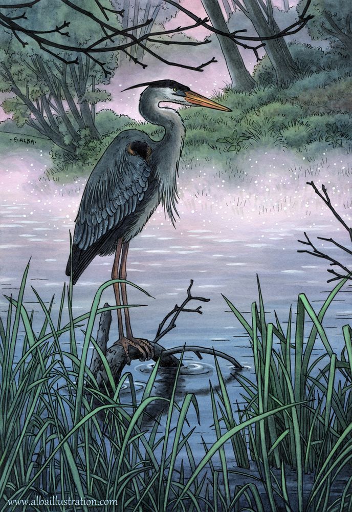Ink, watercolor, and acryla gouache painting on a great blue heron standing on a piece of driftwood in a misty river.